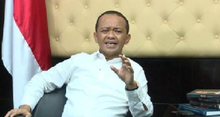 Menteri Investasi Dorong Bank Tingkatkan Pembiayaan Untuk Umkm Detik Merdeka 7mcOMlRZ7c