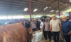 Ketua MPR RI, Ahmad Muzani (kanan) dan Wakil Menteri Pertanian, Sudaryono (kiri) hadir pada acara kontes sapi APPSI Wonosobo.