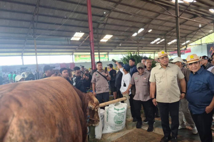 Ketua MPR RI, Ahmad Muzani (kanan) dan Wakil Menteri Pertanian, Sudaryono (kiri) hadir pada acara kontes sapi APPSI Wonosobo.