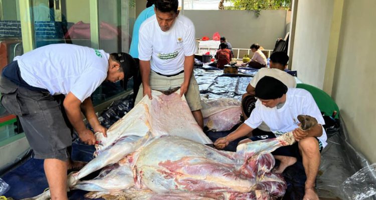 Daging Kurban Tani Merdeka Indonesia