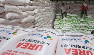Stok pupuk subsidi