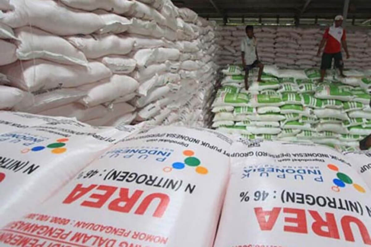 Stok pupuk subsidi