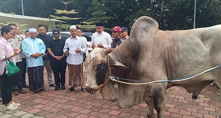 Presiden Prabowo membagikan puluhan sapi kurban ke warga Babakan Madang, Bogor (Foto: Detik)