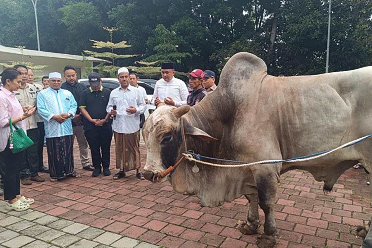 Presiden Prabowo membagikan puluhan sapi kurban ke warga Babakan Madang, Bogor (Foto: Detik)