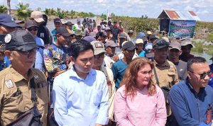 Tim advokasi LBH Tani Nusantara mendampingi ratusan petani di Desa Girirang dan Desa Timbul Jaya, Kecamatan Muara Sugihan, Kabupaten Banyuasin, yang sedang sengketa lahan dengan PT Ciptamas Bumi Subur (CBS).