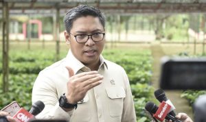 Wakil Menteri Pertanian (Wamentan) Sudaryono