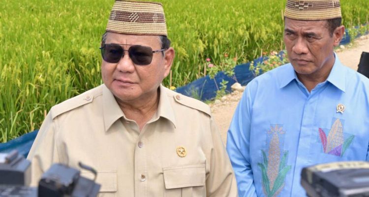 Presiden Prabowo Subianto