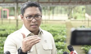 Wamentan Sudaryono Sudaryono Wakil Menteri Pertanian (Wamentan).