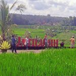 Wisatawan saat berfoto di papan Jatiluwih kawasan Subak Jatiluwih, Tabanan, Bali. (Foto: Antara)