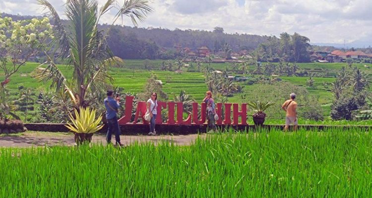 Wisatawan saat berfoto di papan Jatiluwih kawasan Subak Jatiluwih, Tabanan, Bali. (Foto: Antara)