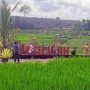 Wisatawan saat berfoto di papan Jatiluwih kawasan Subak Jatiluwih, Tabanan, Bali. (Foto: Antara)