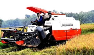 BBM khusus petani