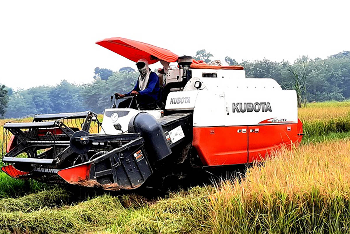 BBM khusus petani