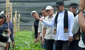 Menteri Pertanian Republik Indonesia, Andi Amran Sulaiman, saat meninjau lokasi produksi benih kopi arabika di Kecamatan Pintu Rime Gayo, Kabupaten Bener Meriah, Selasa (14/7/2026).