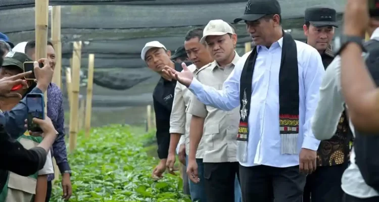 Menteri Pertanian Republik Indonesia, Andi Amran Sulaiman, saat meninjau lokasi produksi benih kopi arabika di Kecamatan Pintu Rime Gayo, Kabupaten Bener Meriah, Selasa (14/7/2026).