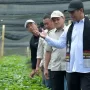 Menteri Pertanian Republik Indonesia, Andi Amran Sulaiman, saat meninjau lokasi produksi benih kopi arabika di Kecamatan Pintu Rime Gayo, Kabupaten Bener Meriah, Selasa (14/7/2026).
