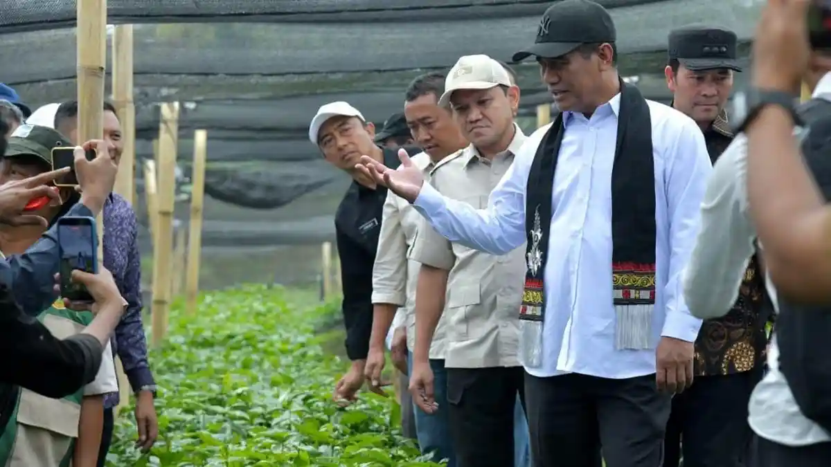 Menteri Pertanian Republik Indonesia, Andi Amran Sulaiman, saat meninjau lokasi produksi benih kopi arabika di Kecamatan Pintu Rime Gayo, Kabupaten Bener Meriah, Selasa (14/7/2026).