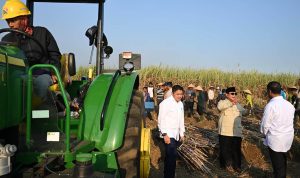 Presiden Prabowo-Panen Raya Tebu Presiden Prabowo Subianto memimpin panen raya serentak yang digelar di Lanud Abdulrachman Saleh, Kabupaten Malang, Provinsi Jawa Timur, pada Jumat, 17 Juli 2026.