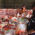 Pemerintah akan salurkan 10 kg beras per keluarga untuk 33,24 juta penerima mulai 17 Agustus 2026.