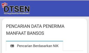 Cek Desil