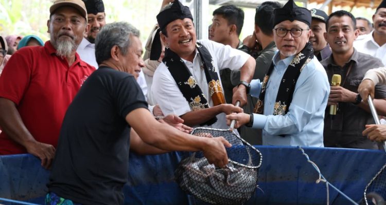 Zulkifli Hasan Menteri Koordinator Bidang Pangan Zulkifli Hasan (ketiga kanan) bersama Menteri Kelautan dan Perikanan Sakti Wahyu Trenggono (kedua kanan) menangkap hasil panen lele saat meninjau budi daya bioflok Koperasi Desa Merah Putih (KDMP) Kamolan di Blora, Jawa Tengah.