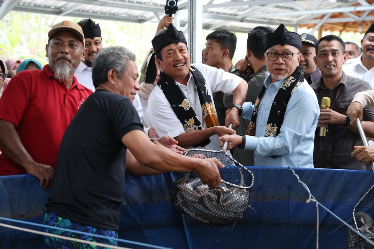 Menteri Koordinator Bidang Pangan Zulkifli Hasan (ketiga kanan) bersama Menteri Kelautan dan Perikanan Sakti Wahyu Trenggono (kedua kanan) menangkap hasil panen lele saat meninjau budi daya bioflok Koperasi Desa Merah Putih (KDMP) Kamolan di Blora, Jawa Tengah.